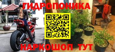 ALPHA PVP Бердск