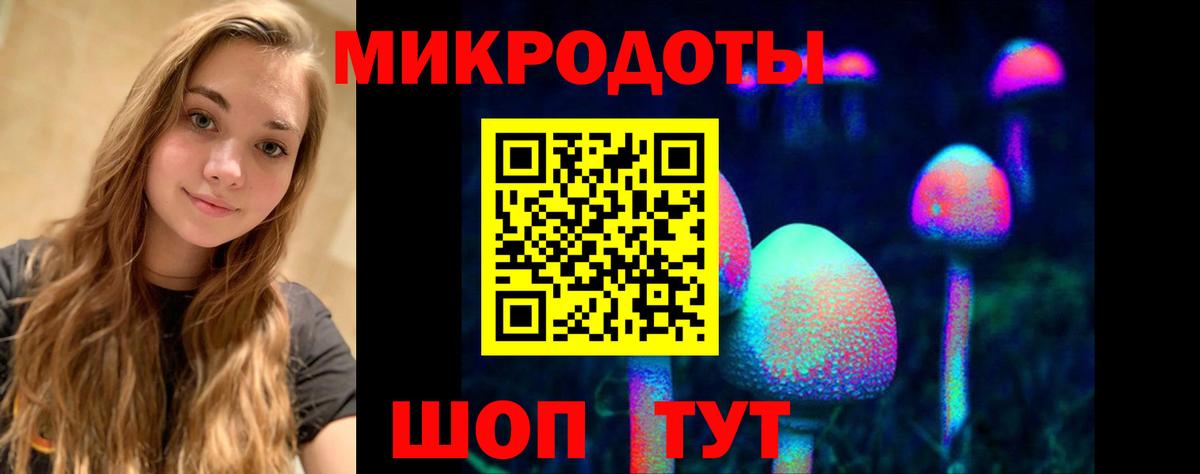 Галлюциногенные грибы Psilocybe  Вход с VPN  Зеленодольск 